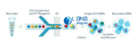 中国人自己的微流控单细胞测序仪来了！_微流控Drop-seq,微流控技术