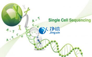 中国人自己的微流控单细胞测序仪来了！_微流控Drop-seq,微流控技术
