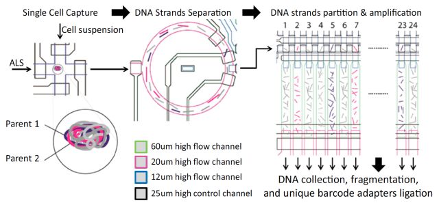 单细胞测序技术(single cell sequencing)