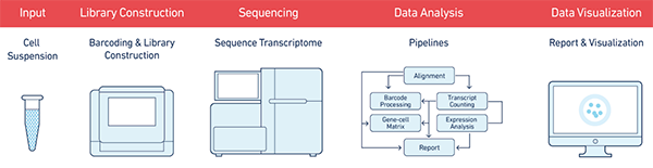 单细胞测序,单细胞测序技术,Drop-seq