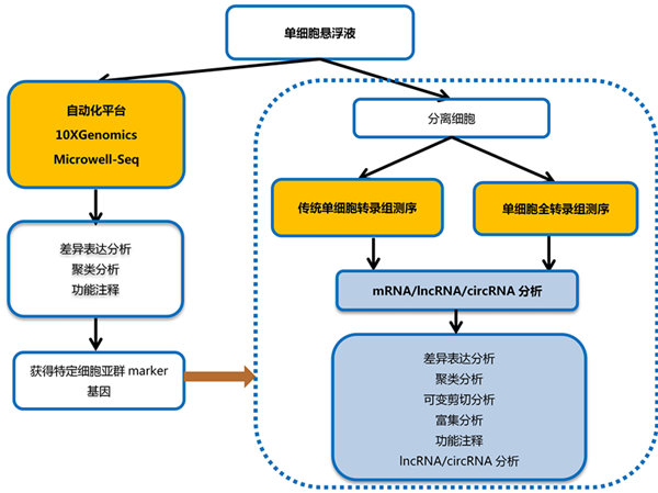 单细胞入门-读一篇scRNA-seq综述讲解