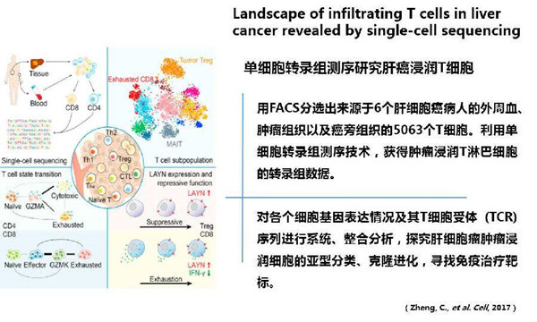 RNA-seq单细胞转录组测序在眼科领域中的研究应用