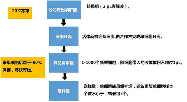 RNA-seq单细胞转录组测序在眼科领域中的研究应用