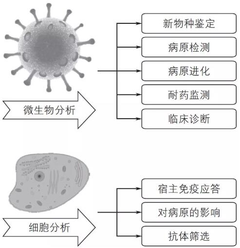 单细胞测序技术及其在传染病研究领域中的应用讲解