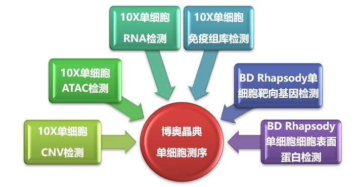 单细胞测序技术及其在传染病研究领域中的应用讲解