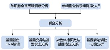 单细胞转录组测序的方法原理及应用