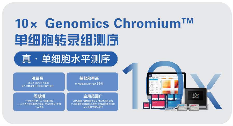 拒绝“被平均”—单细胞组学研究