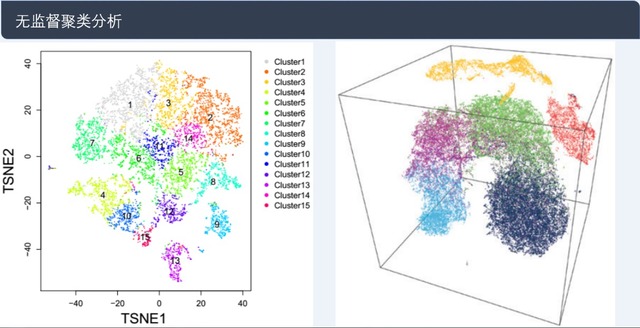 单细胞转录组测序(10x Genomics)详解