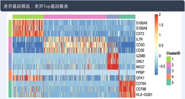 单细胞转录组测序(10x Genomics)详解