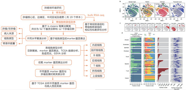 10X Genomics 单细胞转录组测序