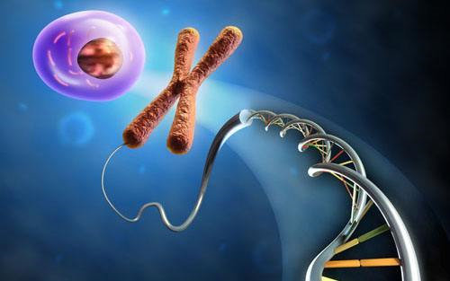 单细胞RNA-Seq揭示了骨髓瘤肿瘤细胞的独特基因组成