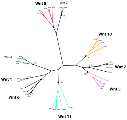 研究人员使用RNA-Seq来了解加勒比珊瑚礁珊瑚的漂白情况