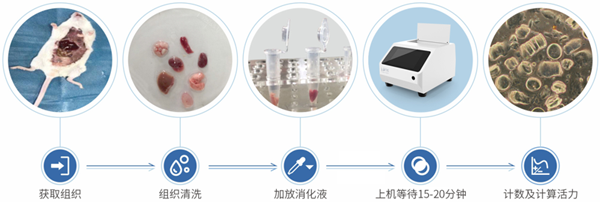 制备仪操作流程