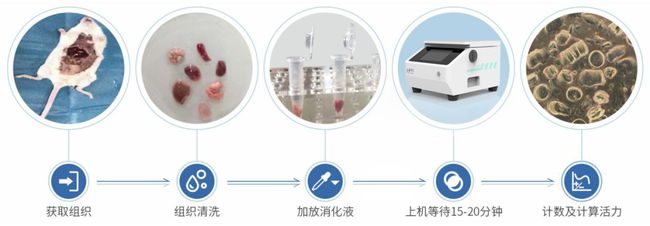 细胞制备悬液分离流程
